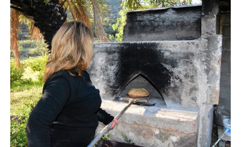 Ταβερνα η Σοφια 46 PHOTO GALLERY