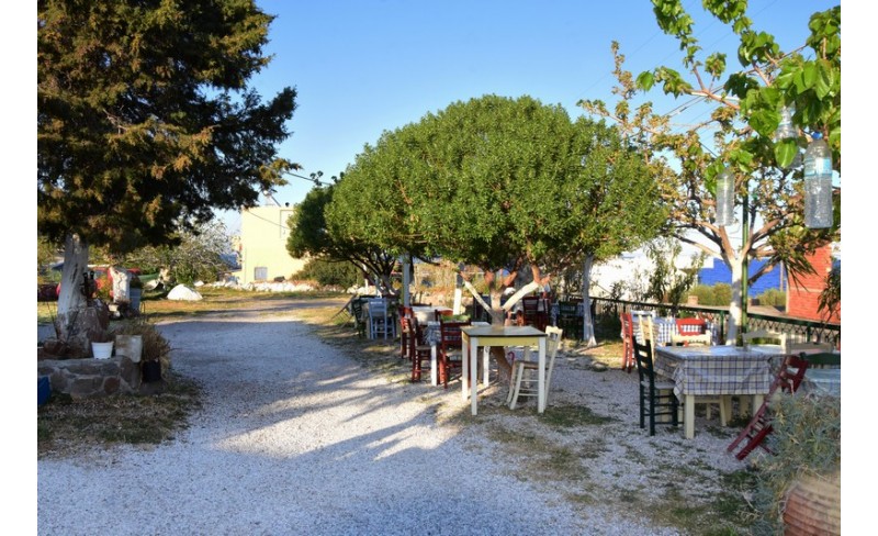 Ταβερνα η Σοφια 49 PHOTO GALLERY
